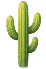 Taller Arizona